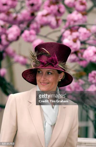 The Royal Family At Easter Service At Windsor Castle. The Countess Of Wessex [sophie Rhys-jones]