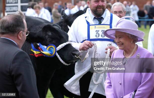 Queen Elizabeth II Visiting The Royal Ulster Agricultural Show And Being Shown A Prize Winning Bull.