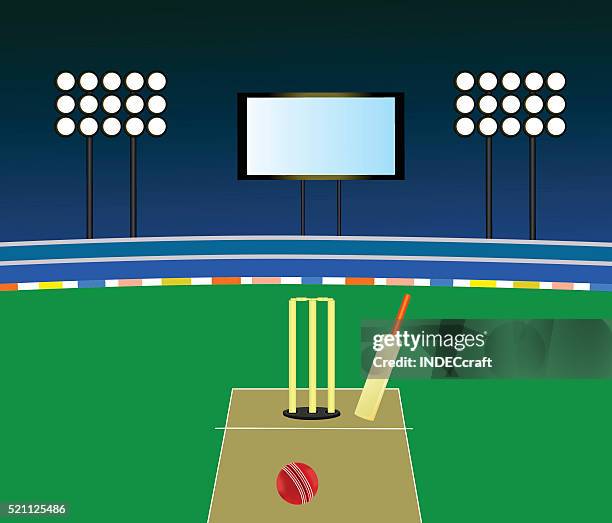 cricket stadium - cricket stadium stock illustrations