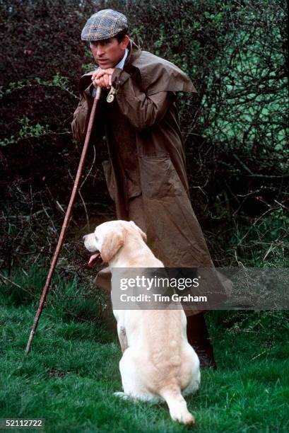 Prince Charles With His Pet Golden Labrador Dog Called Harvey At The Fernie Hunt Team Cross Country Event In Gloucestershire. The Prince Is Dressed...