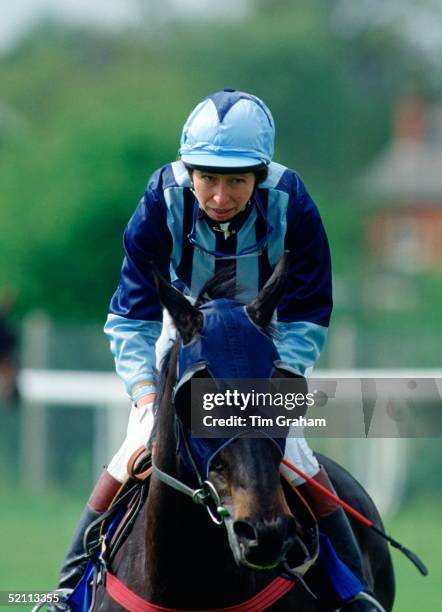 Princess Anne Riding As A Jockey At Charity Horseracing Meeting At Lingfield Park. Her Horse Is 'bengal Tiger'