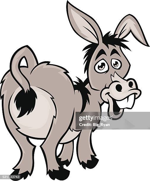 esel grautier - donkey stock-grafiken, -clipart, -cartoons und -symbole