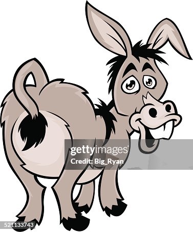 Donkey ass Donkey ass