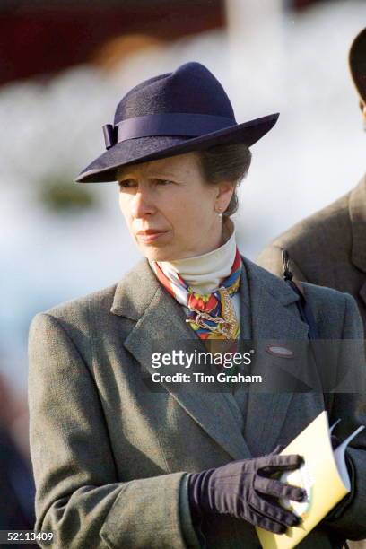 Princess Anne Wearing Trilby Hat At Cheltenham Races For The Grand Military Gold Cup