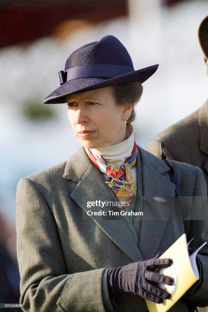 Anne At The Races