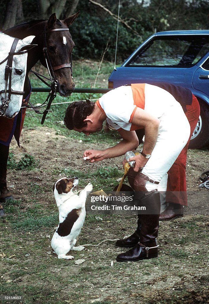 Charles And Jack Russell Dog