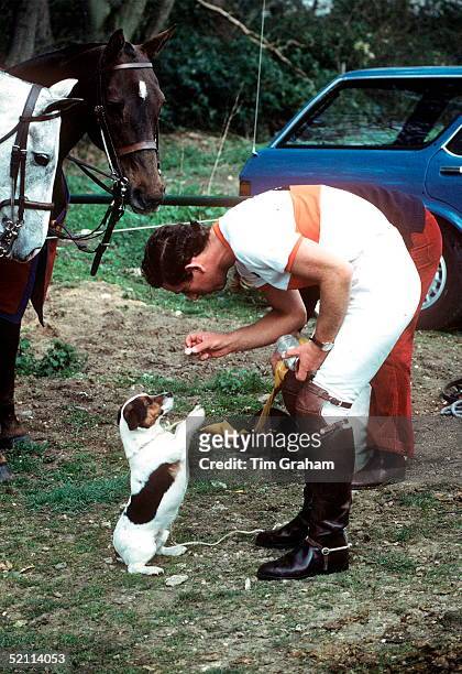 Prince Charles With His Jack Russell Terrier Pet Dog At Smiths Lawn Polo Ground Windsor Circa 1970s