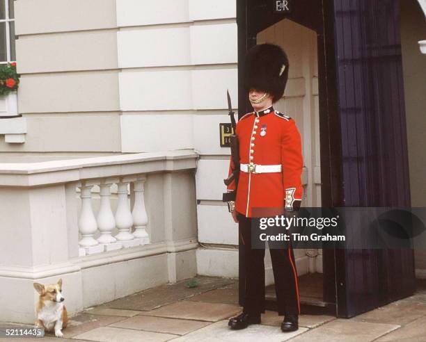 One Of The Royal Corgis With Guardsman Outside Clarence House