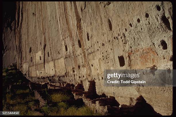 Mithe Puye 51 Puye Stock Photos, High-Res Pictures, and Images - Getty Images