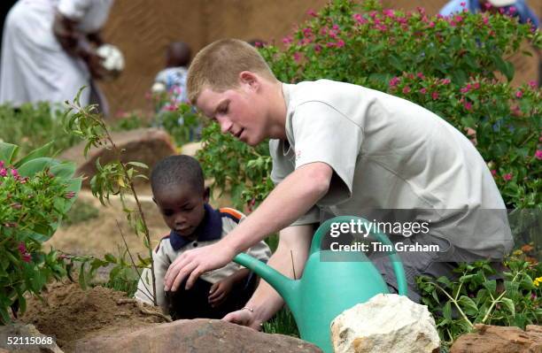Prince Harry Shows His Caring Nature While He Works In The Garden With Mutsu At The Mants'ase Children's Home, Which Provides A Loving Home For...
