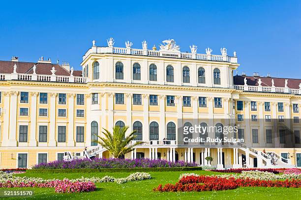 schloss schonbrunn - schonbrunn palace vienna stock pictures, royalty-free photos & images
