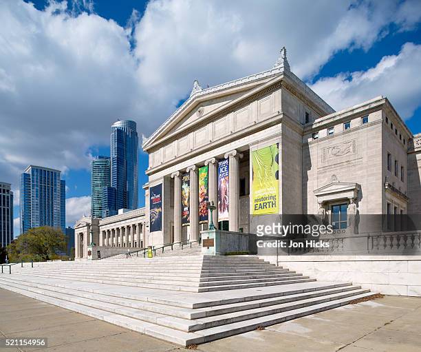 the field museum of natural history, chicago. - the field museum chicago - fotografias e filmes do acervo