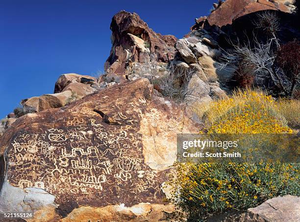 petroglyphs, lake mead national recreation area, nevada. usa. - lake mead national recreation area stock pictures, royalty-free photos & images