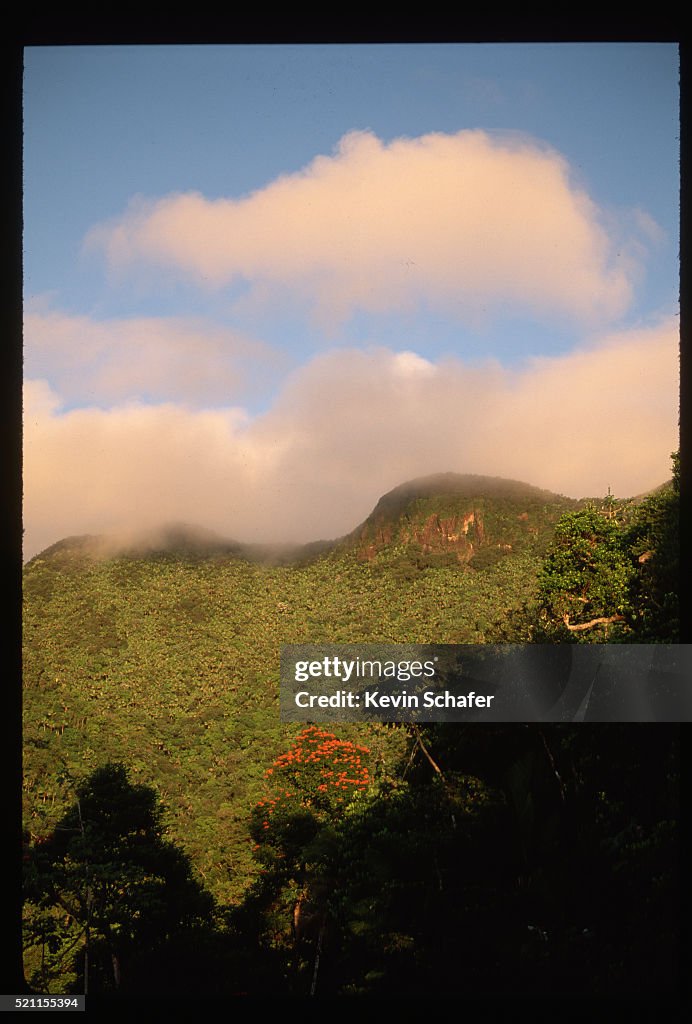 Sunlight on Mountains and Rain forest