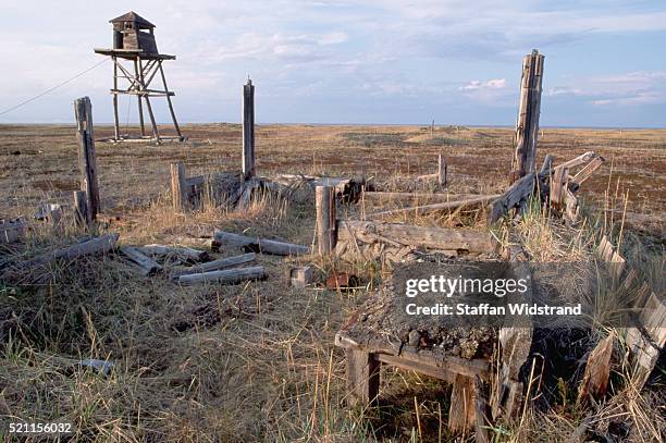 gulag death camp, russian arctic - gulag stock pictures, royalty-free photos & images