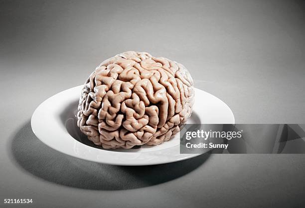 human brain on plate - gross food fotografías e imágenes de stock