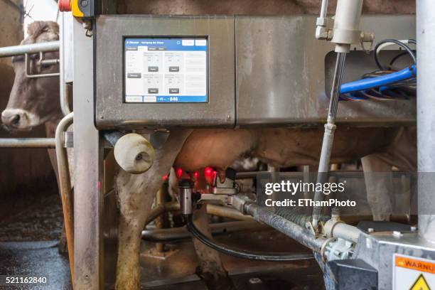 automatic milking robot / mechanical milker - milk pumping stock pictures, royalty-free photos & images