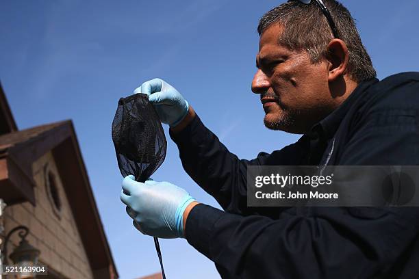 Environmental health specialist Aaron Salazar checks a mosquito trap on April 14, 2016 in McAllen, Texas. City workers are catching mosquitos and...