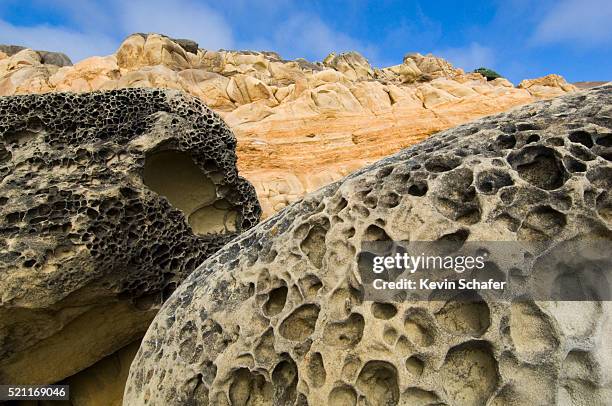 Salt Eroded Rocks 259 Salt Point State Park Stock Photos, High-Res Pictures, and Images ...