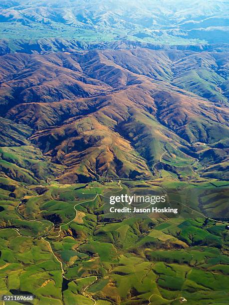 rolling hills in southland region of new zealand - rural new zealand stock pictures, royalty-free photos & images