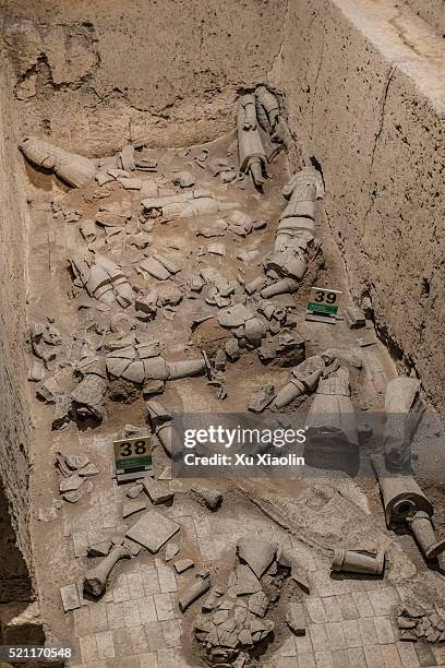 qin terracotta warriors - terracotta soldiers stock pictures, royalty-free photos & images
