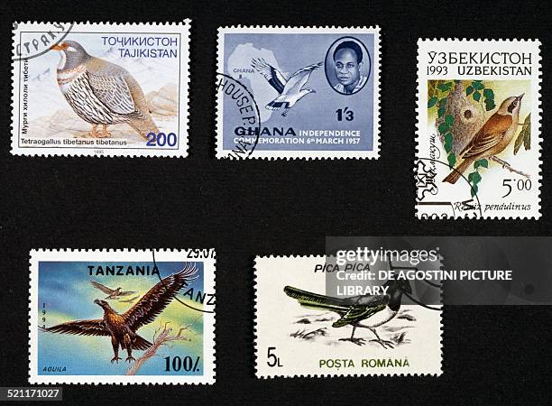 Postage stamps honouring birds: from left to right and top to bottom, postage stamp depicting Tibetan snowcock Tajikistan; postage stamp...
