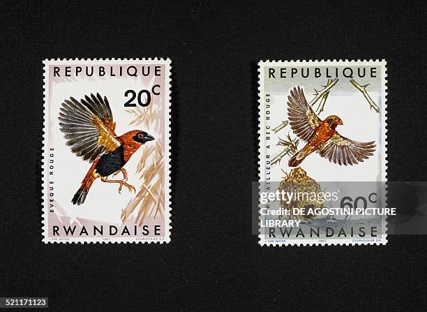 Series of postage stamps honouring Birds depicting, left, Southern red bishop and on the right, Red-billed quelea . Rwanda, 20th century. Rwanda