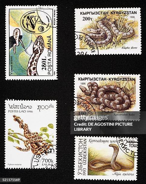 Snake Postage Stamp Photos and Premium High Res Pictures - Getty Images