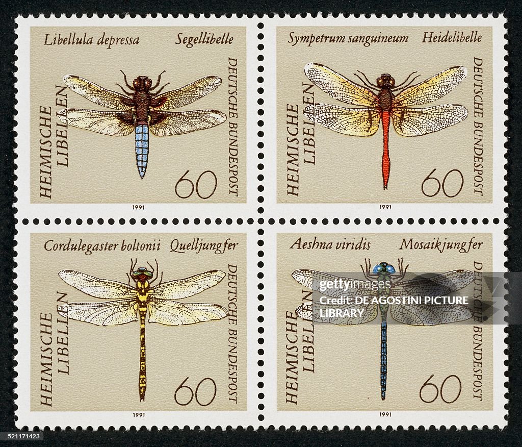 Stamps honoring Dragonflies