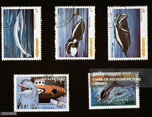 Postage stamps honouring marine mammals: top, postage stamps depicting Blue whale , Sei whale and North Atlantic right whale Vietnam; bottom left,...