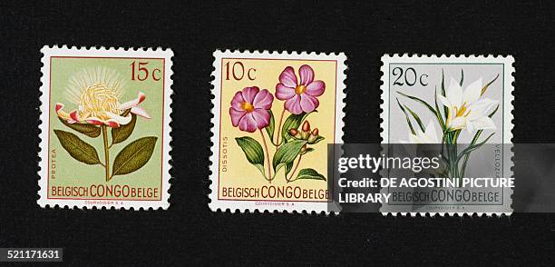 Series of postage stamps honouring Wildflowers depicting, from left, Protea, Dissotis and Vellozia. Belgian Congo, 20th century. Congo