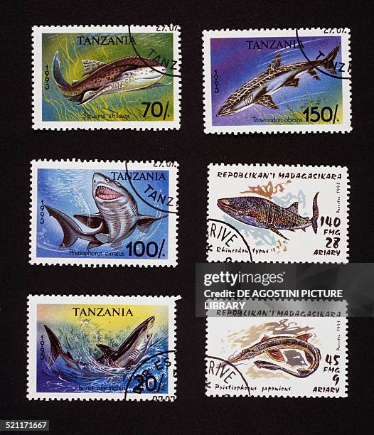 Left from top to bottom and top right, Tanzanian postage stamps from the Sharks series depicting: Angelfish , Longnose sawshark Shortfin mako shark...