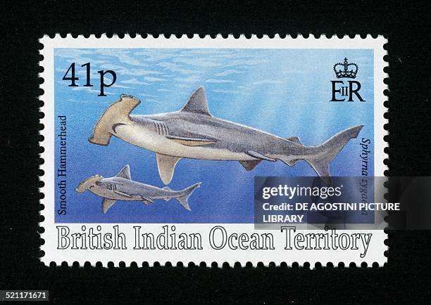 Postage stamp depicting two Smooth hammerheads . British Indian Ocean Territory, 20th century. Unspecified