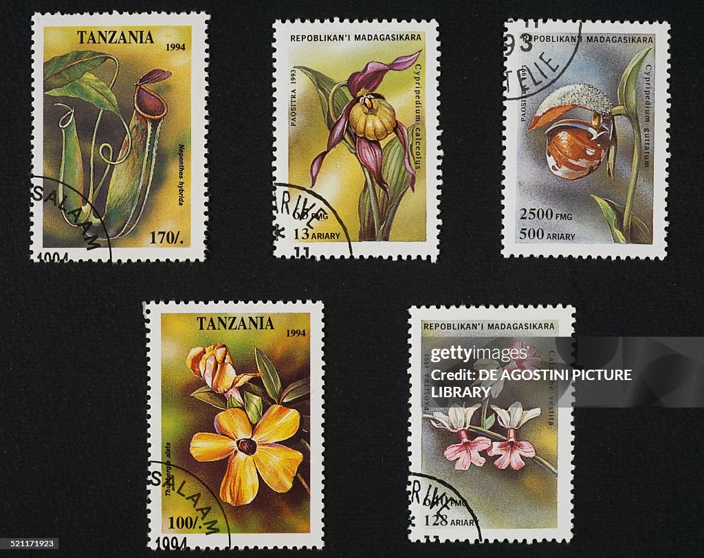 Postage stamps honoring Orchids