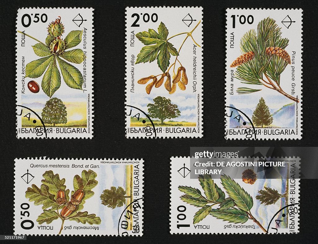 Postage stamps from Trees series