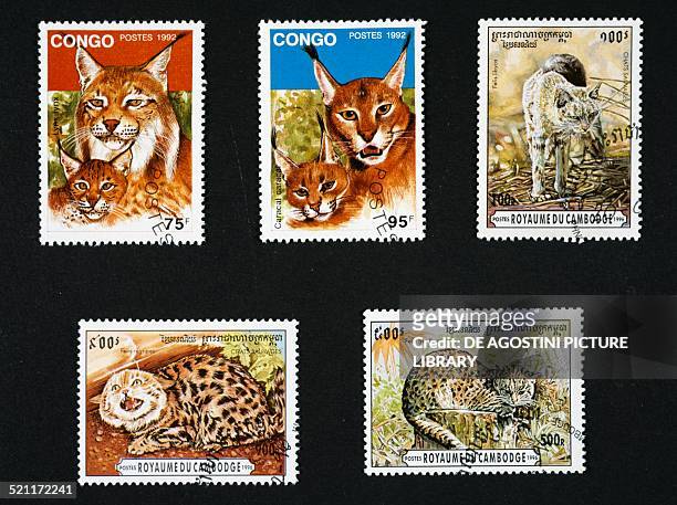 From left to right and top to bottom, postage stamps from the series honouring felines depicting a lynx and caracal Democratic Republic of Congo;...