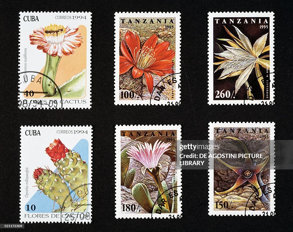 Postage stamps honoring cacti