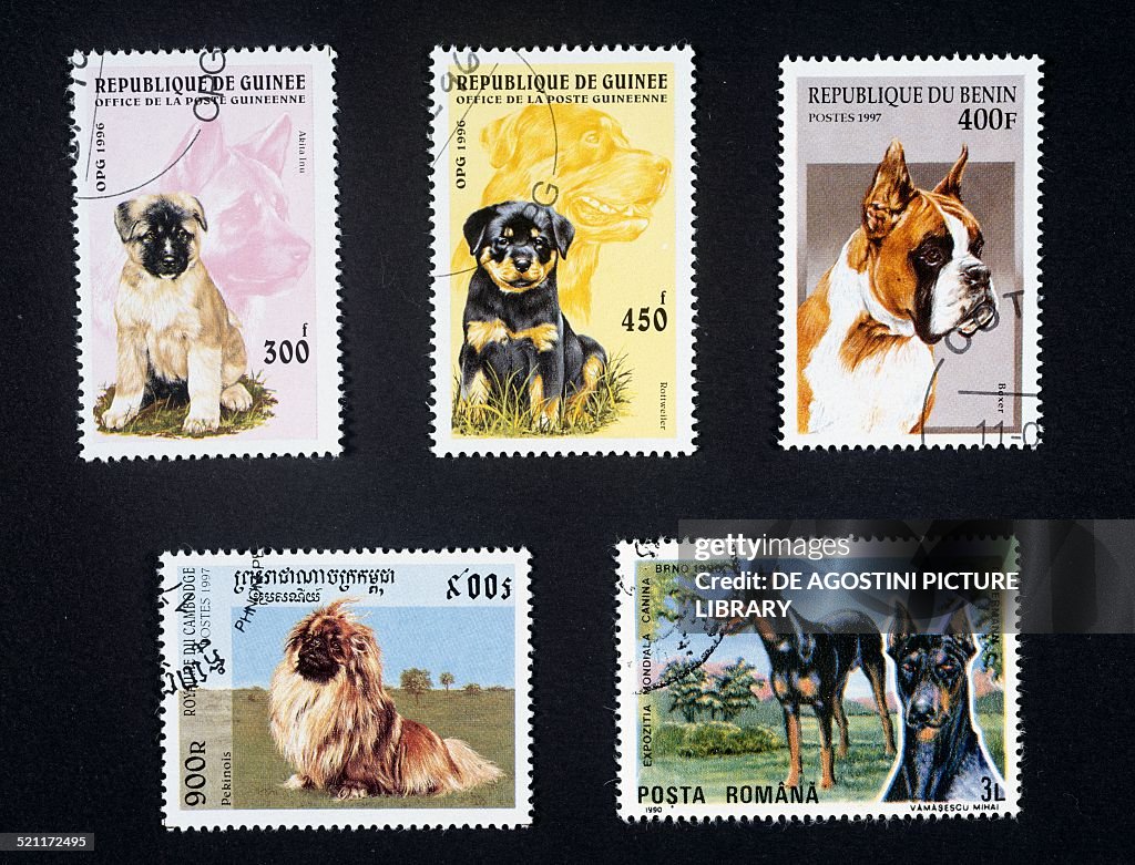 Postage stamps honoring dogs