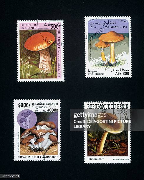 Postage stamps honouring mushrooms: from left to right and top to bottom, postage stamp depicting Rough-stemmed bolete Republic of Guinea; postage...