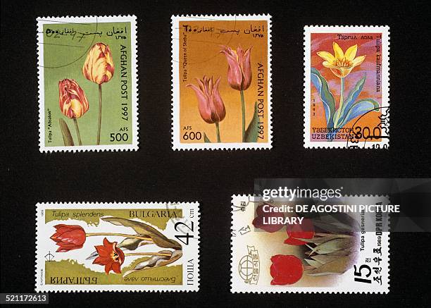 Postage stamps honouring tulips: from left to right and top to bottom, two postage stamps depicting tulips Afghanistan; postage stamp depicting...
