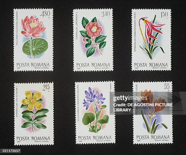 Series of postage stamps honouring Exotic flora, 1980: top, Lotus and Japanese camellia , centre, Aztec lily and St. John's Wort , bottom, Water...