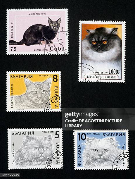 Postage stamps honouring cats: top left, postage stamp depicting a Asian cat 1997, Cuba; top right, postage stamp depicting a black and white cat...