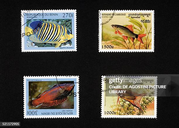 Postage stamps honouring aquarium fish: left, postage stamps depicting Regal angelfish and Dotted fairy wrasse Benin; right, postage stamps depicting...