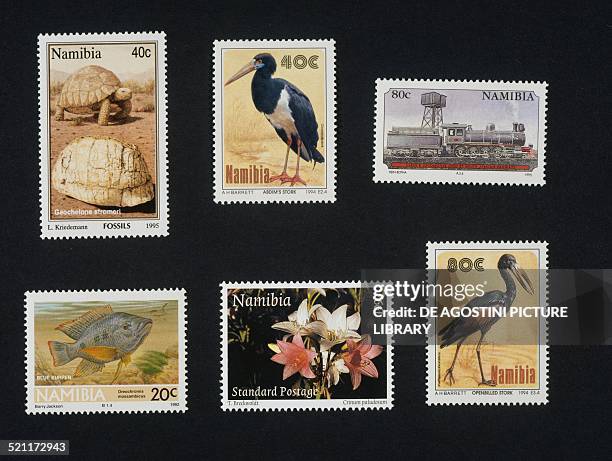 From left to right and from top to bottom: postage stamp depicting Geochelone stromeri , 1995; postage stamp from the Birds series depicting Abdim's...