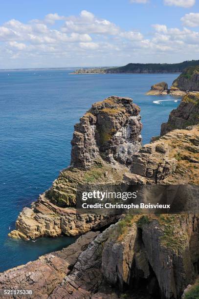 france, brittany, cotes d'armor, surroundings of cap frehel - cotes d'armor stock pictures, royalty-free photos & images