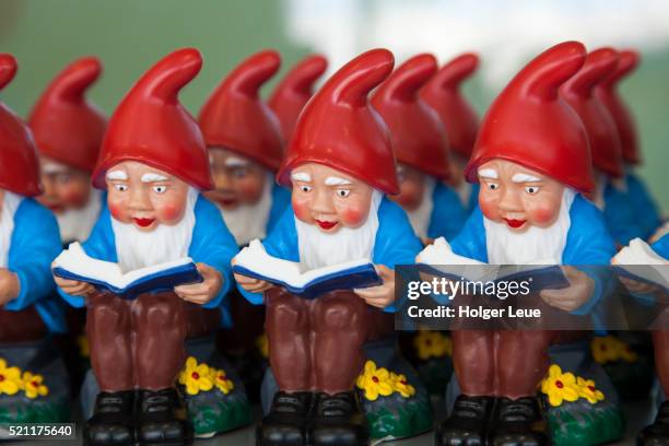 garden gnome with book souvenirs - garden gnome stock pictures, royalty-free photos & images