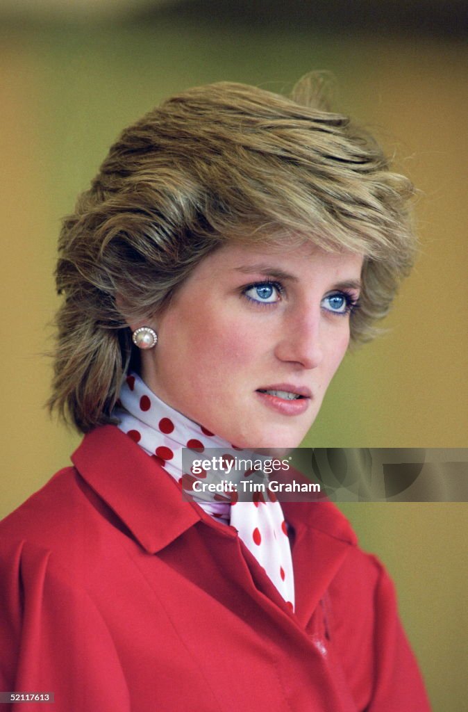 Diana At Country Fair