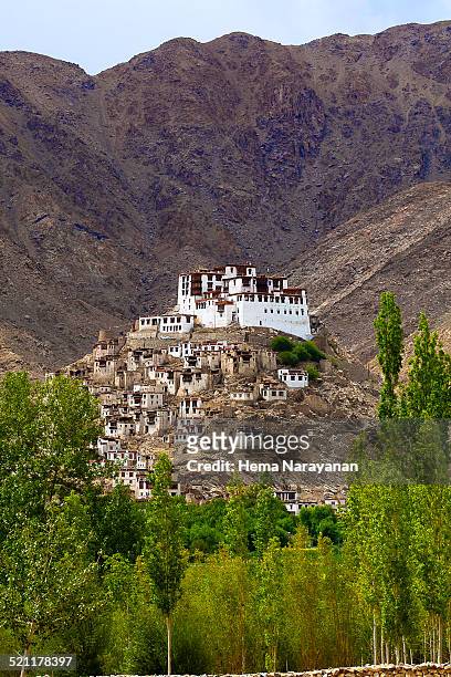 monastery in leh - hema narayanan stock pictures, royalty-free photos & images