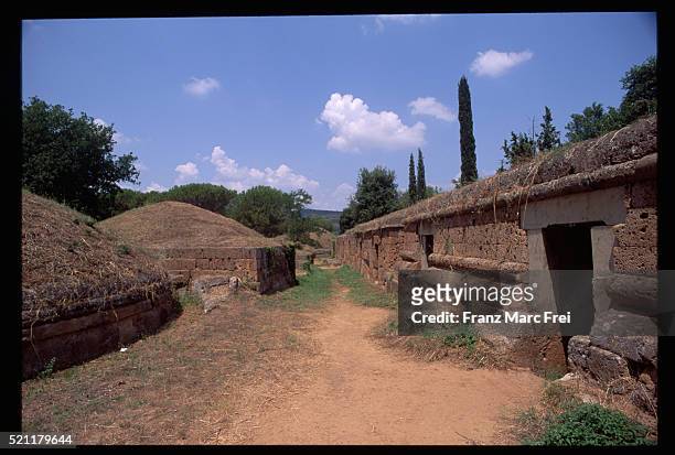 etruscan tombs of cerveteri - tomb stock pictures, royalty-free photos & images