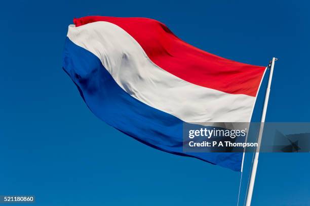 dutch flag - países bajos fotografías e imágenes de stock